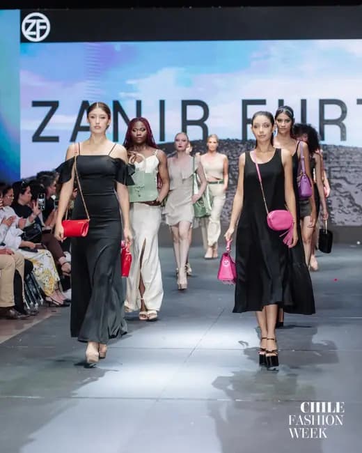Zanir Furtado — Primera edición — foto 2