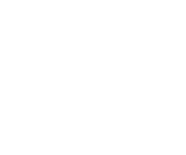 Dr. Brian Frick